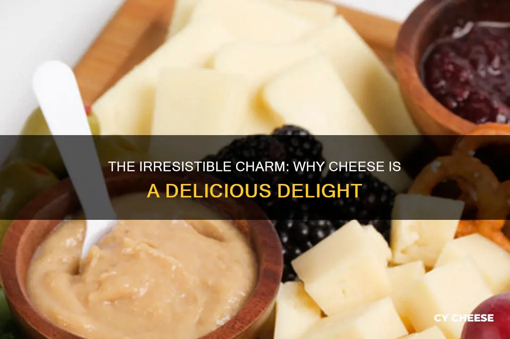 why cheese is yummy