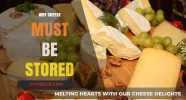 Proper Cheese Storage: Preserving Flavor, Texture, and Freshness Effectively