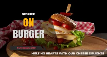 Why Cheese on Burgers Elevates Flavor and Texture Perfectly