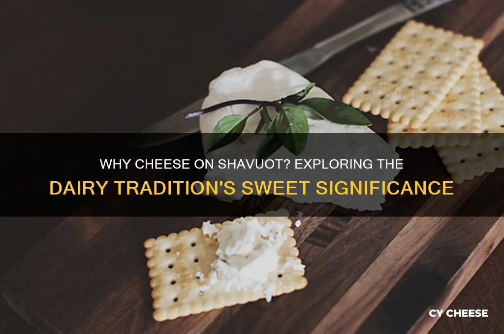 why cheese on shavuot