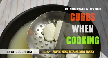 Melting Mystery: Why Cheese Oozes Out