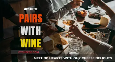 Cheese and Wine: The Perfect Pairing Explained