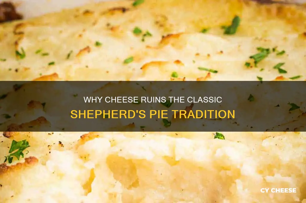 why cheese should not be in shepherd