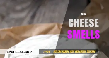 Unraveling the Pungent Mystery: Why Cheese Smells So Strongly