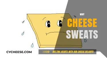 Why Cheese Sweats: Uncovering the Science Behind Moist Dairy