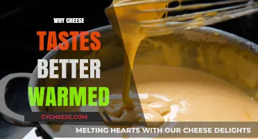 Melty Magic: Why Warmed Cheese Elevates Flavor and Texture