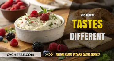 Exploring the Unique Flavors: Why Cheese Tastes Different Every Time