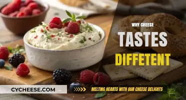 Exploring the Unique Flavors: Why Cheese Tastes Different Every Time