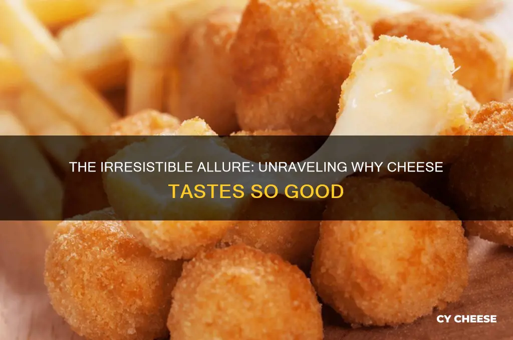 why cheese tastes so good