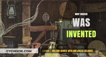 The Surprising Origins of Cheese: A Historical Culinary Journey