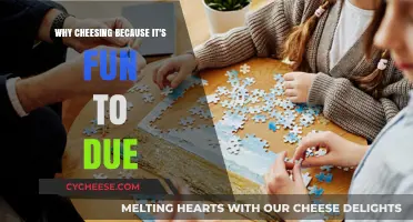 Cheesing: The Joyful, Fun, and Unexpected Hobby You'll Love