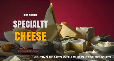 Discover the Unique Flavors: Why Choose Specialty Cheese Today