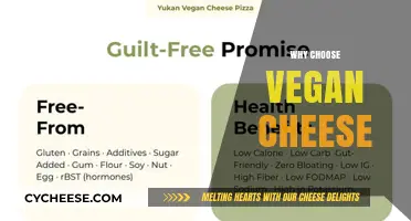 Discover the Health and Ethical Benefits of Choosing Vegan Cheese