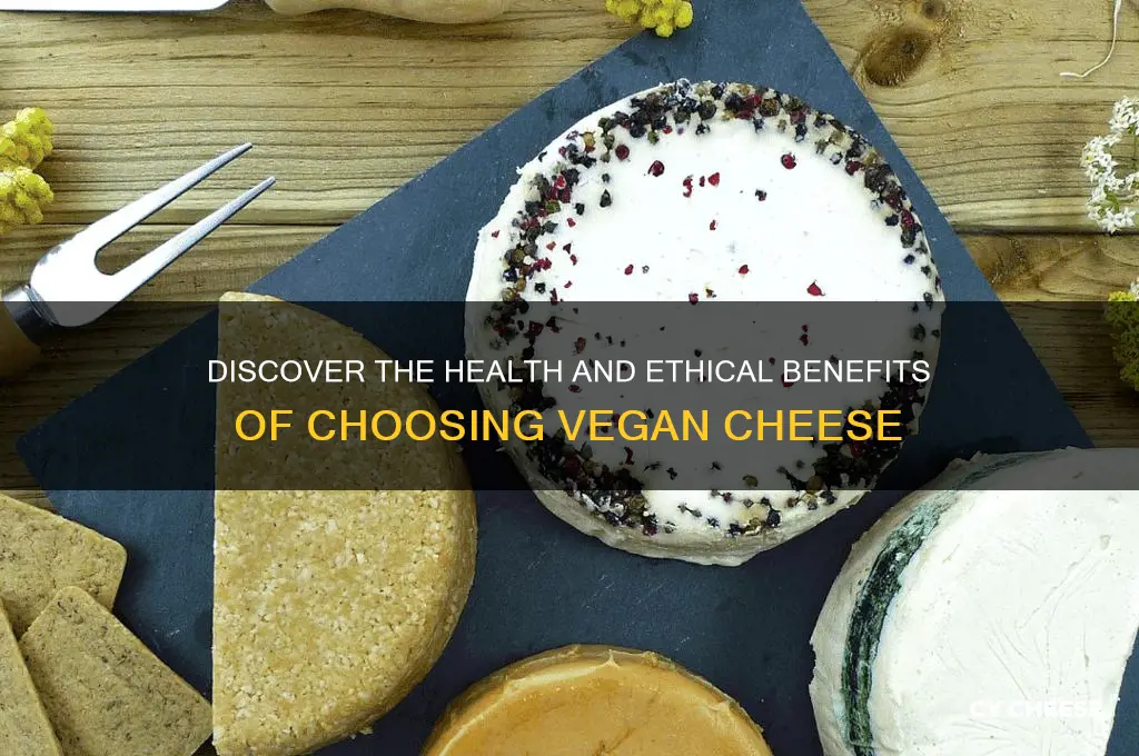 why choose vegan cheese