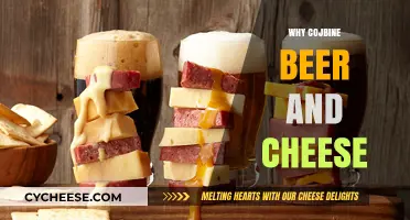 Pairing Perfection: Why Beer and Cheese Make a Delicious Duo
