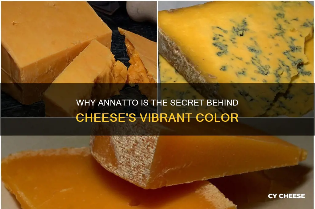 why color cheese with annatto