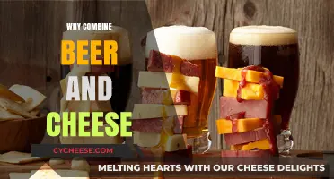 Pairing Perfection: Why Beer and Cheese Make a Heavenly Match