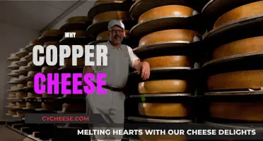 Why Copper Cheese? Unveiling the Secret to Perfect Cheese Making