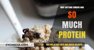 Why Cottage Cheese is a High-Protein Superfood: Unlocking its Benefits