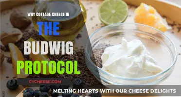 Cottage Cheese in Budwig Protocol: Essential Benefits and Role Explained