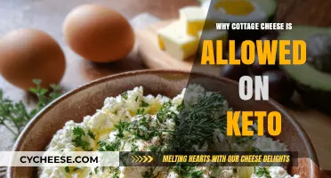 Cottage Cheese and Keto: A Perfect Low-Carb Protein Match