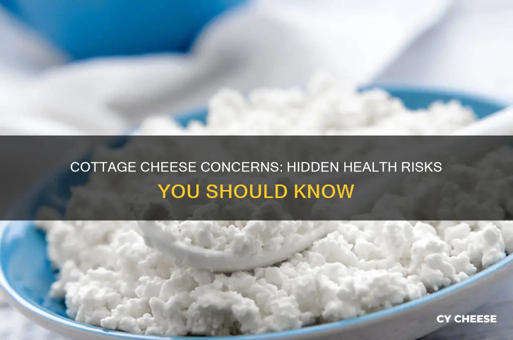why cottage cheese is bad for you