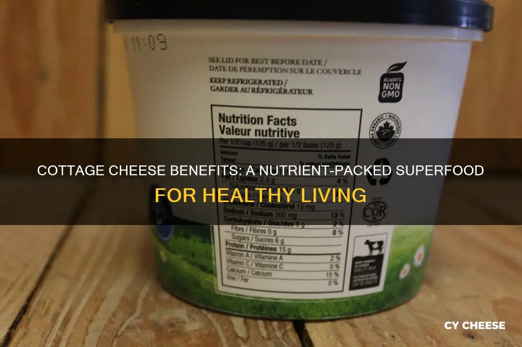 why cottage cheese is healthy