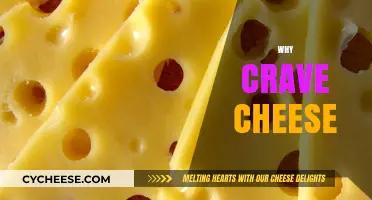 Why We Crave Cheese: Uncovering the Irresistible Appeal of Dairy's Delight