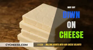 Healthier Choices: Why Cutting Down on Cheese Benefits Your Body