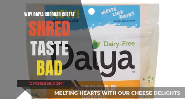 Daiya Cheddar's Unappealing Taste: Unraveling the Mystery