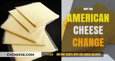 The Evolution of American Cheese: What Changed and Why?