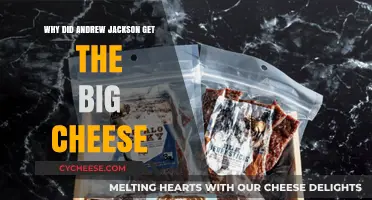 Andrew Jackson: The Big Cheese of American Democracy