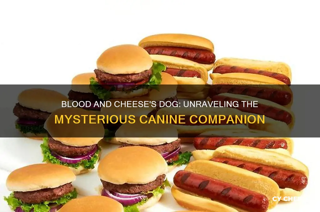 why did blood and cheese bring a dog