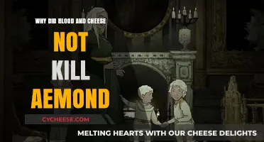 Blood and Cheese's Failed Assassination: Why Aemond Survived the Attack