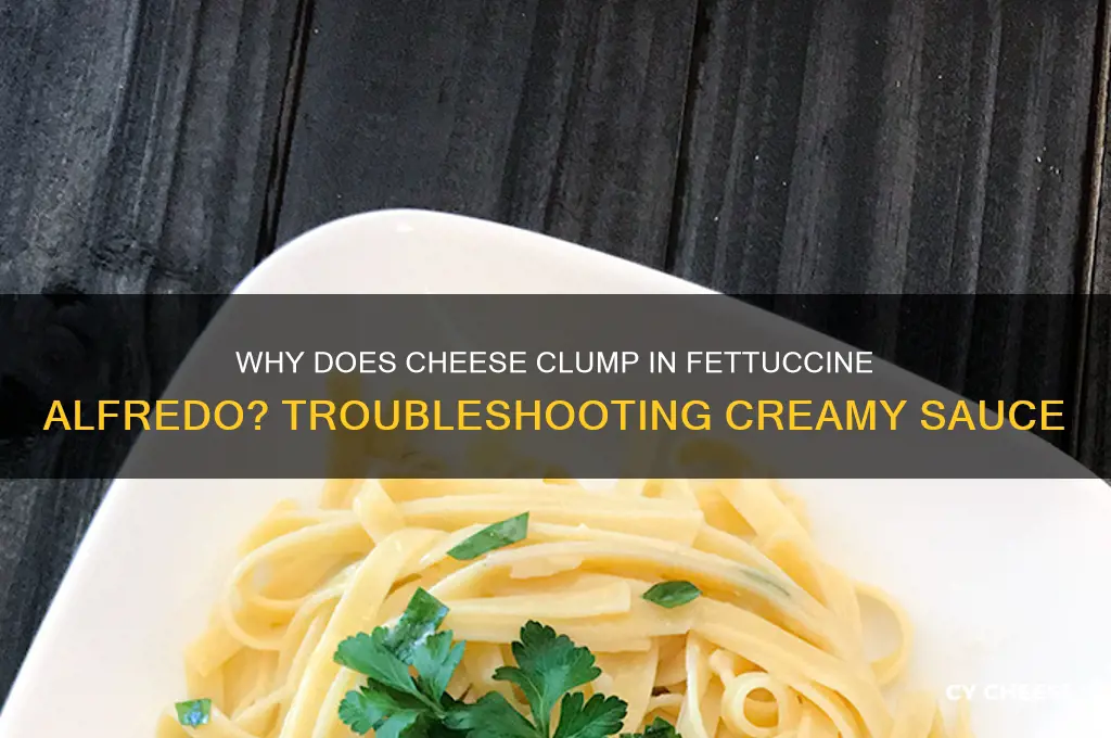 why did cheese clump up in fettuccine alfredo