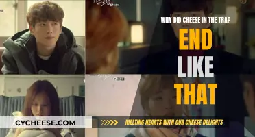 Cheese in the Trap: An Unsatisfying Ending Explained