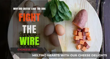 Why Cheese Lost the Dog Fight in The Wire: Analyzing the Scene