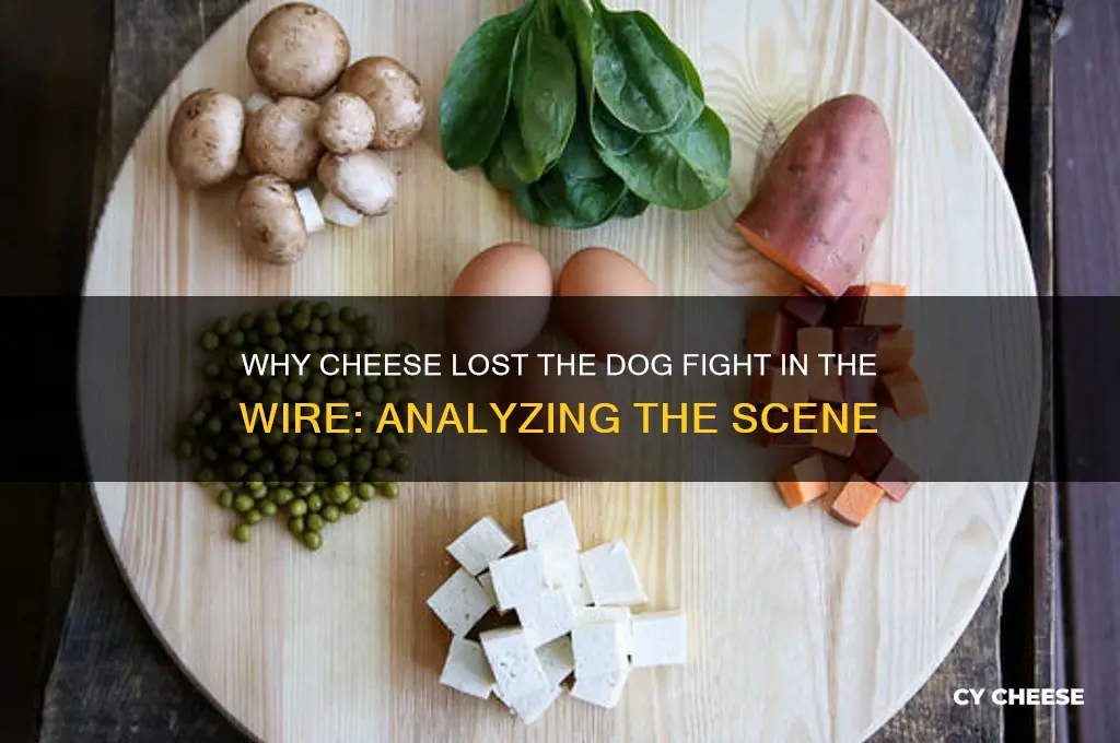 why did cheese lose the dog fight the wire