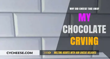 Cheese's Surprising Power: How It Killed My Chocolate Cravings