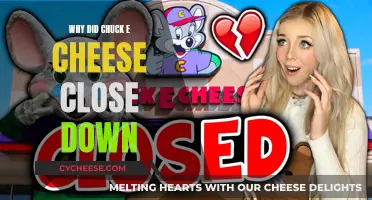 Chuck E. Cheese's Downfall: What Led to the Closure?