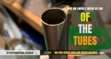 Chuck E. Cheese's Tubes: Why They Were Removed