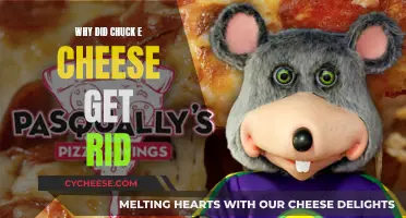 Chuck E. Cheese's Abrupt Departure: What Caused the Closure?