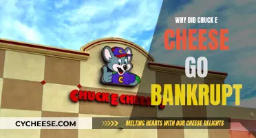 Chuck E. Cheese's Bankruptcy: What Led to the Demise?