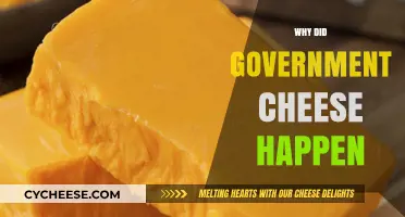 The Surprising Story Behind Government Cheese: A Historical Overview