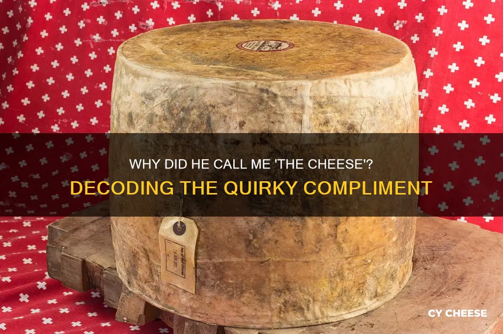 why did he say i am the cheese