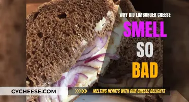 The Stinkiest Cheese: Why Limburger's Odor is Strong