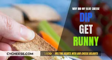 Blue Cheese Dip: Runny, Why?