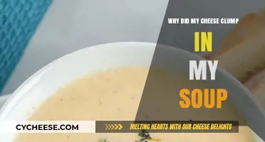 Why Cheese Clumps in Soup: Causes and Prevention Tips