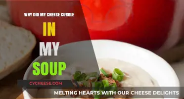 Why Did My Cheese Curdle in Soup? Common Causes & Fixes