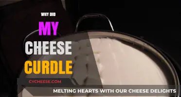 Why Did My Cheese Curdle? Common Causes and Solutions Explained